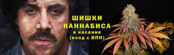 гидропоника Карпинск