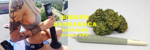 шишки Касимов