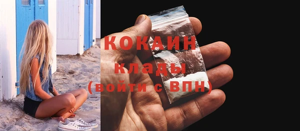 мет Гусев
