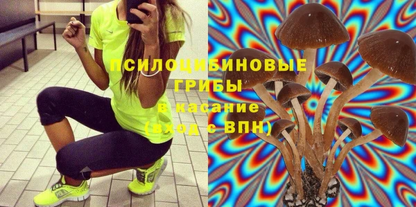кристаллы Гусиноозёрск